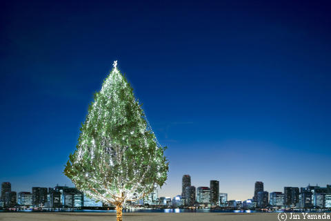 Christmas tree with Tokyo in background