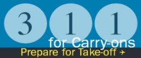 311 rule for carry ons