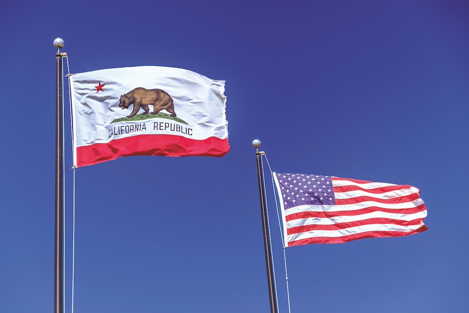 california state flag with american flag.