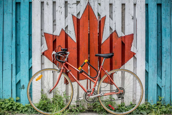 Canadian maple leaf painted on fence