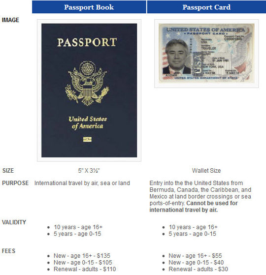 us tourist passport vs official passport