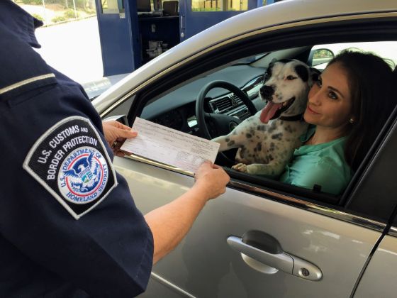 A CBP agent checks a driver's travel document at the US Mexico border