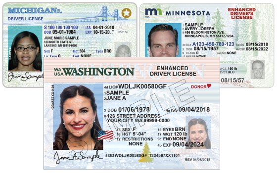 Enhanced Driver's License for International Travel