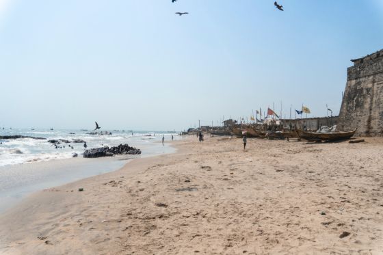 A Ghana beach with seagulls and a fortress