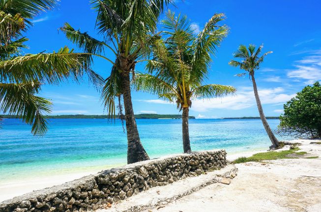beach in Guam with palm trees