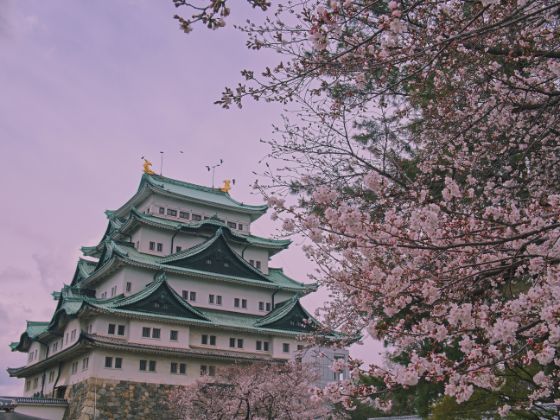 A Japanese castle with cherry blossoms in the foreground
