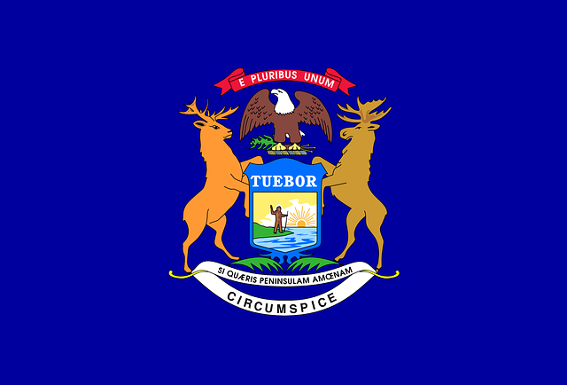 michigan state flag.