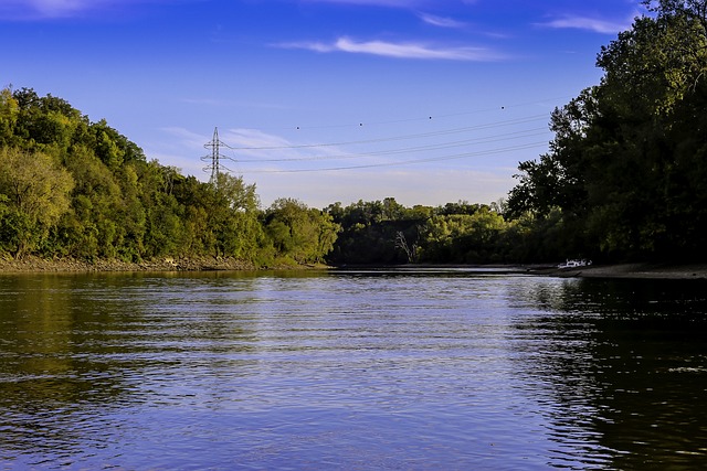 mississippi river with trees at the banks.