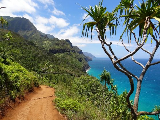 Scenic drive on the Hawaii coast