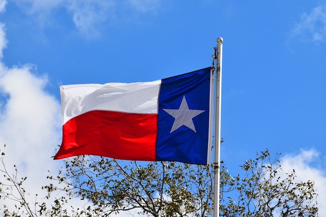 texas state flag frlying above treetops.