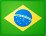 Brazil Flag