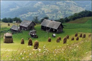Carpathians Ukraine