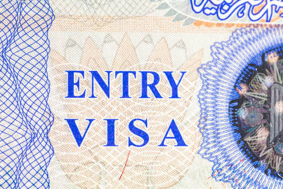 Entry visa stamp in passport