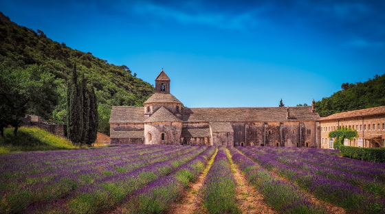 monastary in a field
