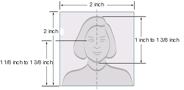 passport face size template