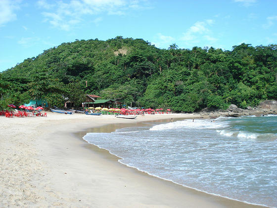 Praia do Meio on Trindade Island Brazil.