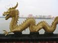 Taiwan Dragon