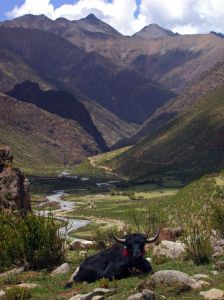 Tibet Mountain View