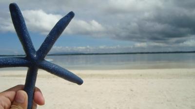 The Virgin Island in the Philippines