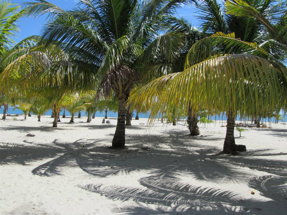 beaches Placencia Belize