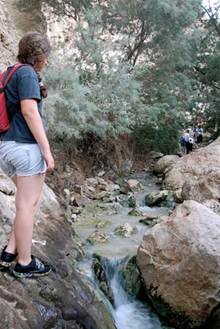 Nachal Bokek Israel